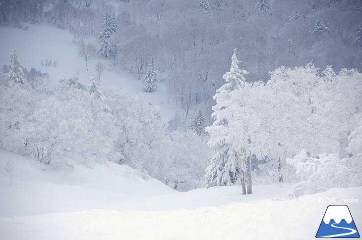 キロロリゾート 児玉毅の『雪山の達人』に密着！